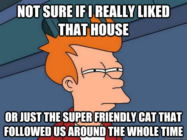 Not sure if i really liked that house or just the Super Friendly cat that followed us around the whole time - Not sure if i really liked that house or just the Super Friendly cat that followed us around the whole time  Futurama Fry