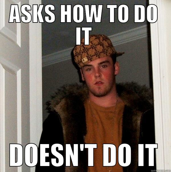 ASKS HOW TO DO IT DOESN'T DO IT Scumbag Steve