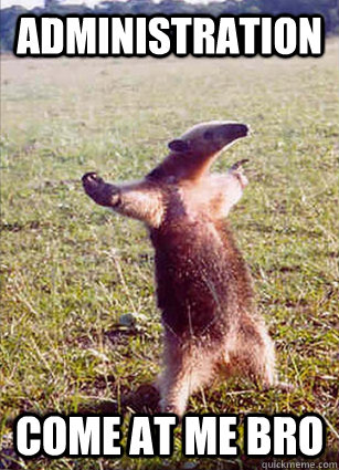 Administration  come at me bro  Defiace Anteater