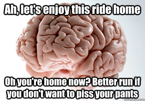 Ah, let's enjoy this ride home Oh you're home now? Better run if you don't want to piss your pants   Scumbag Brain