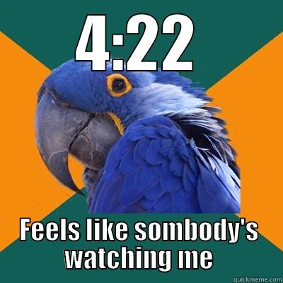 Paranoid  - 4:22 FEELS LIKE SOMBODY'S WATCHING ME Paranoid Parrot