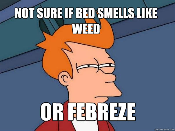 Not sure if bed smells like weed or febreze - Not sure if bed smells like weed or febreze  Futurama Fry