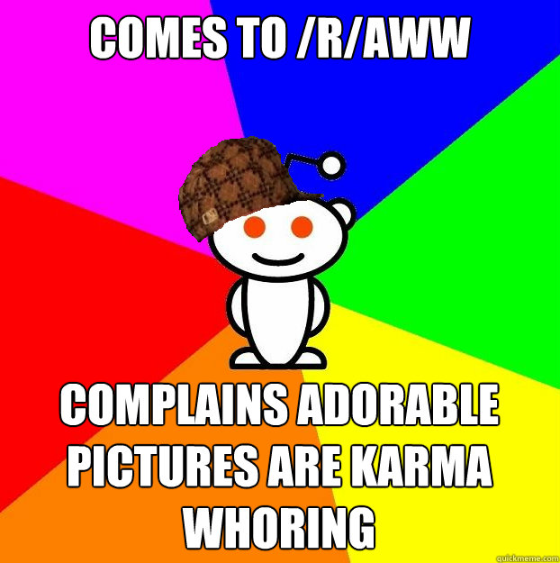 Comes to /r/aww complains adorable pictures are karma whoring  Scumbag Redditor