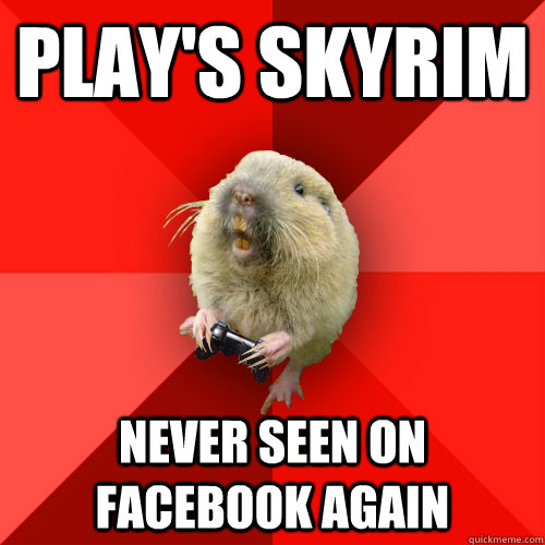 Play's Skyrim Never seen on facebook again   Gaming Gopher