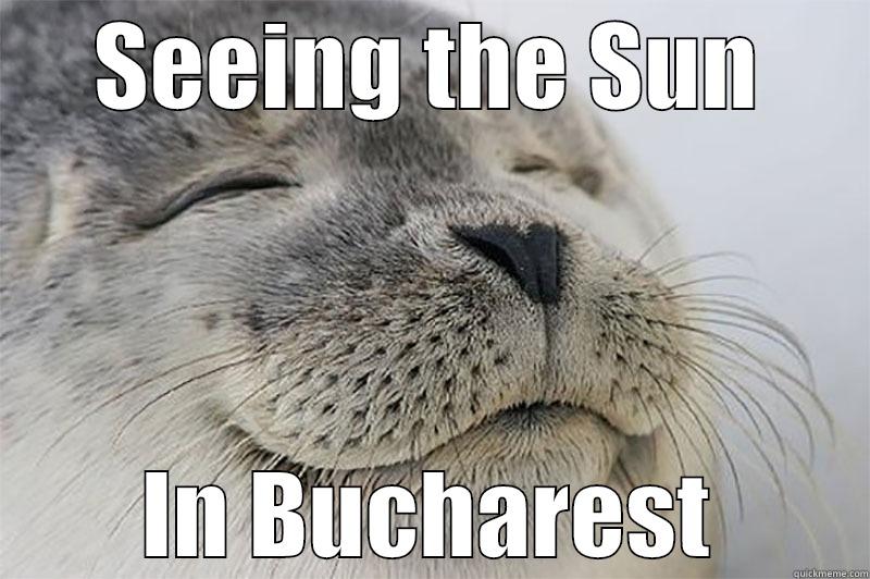 SEEING THE SUN IN BUCHAREST Misc