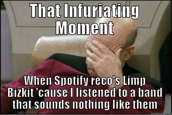 THAT INFURIATING MOMENT WHEN SPOTIFY RECO'S LIMP BIZKIT 'CAUSE I LISTENED TO A BAND THAT SOUNDS NOTHING LIKE THEM Misc