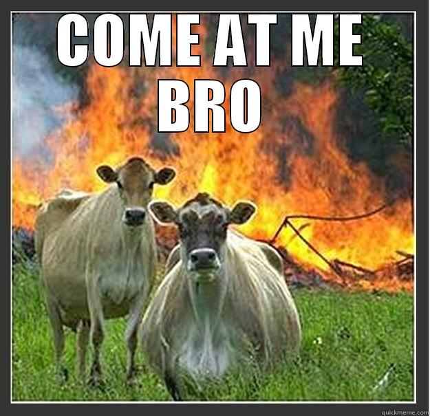 Come at meh - COME AT ME BRO  Evil cows