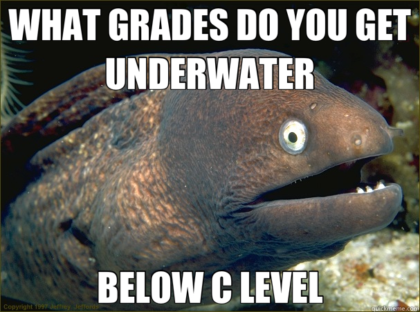 WHAT GRADES DO YOU GET UNDERWATER BELOW C LEVEL  Bad Joke Eel