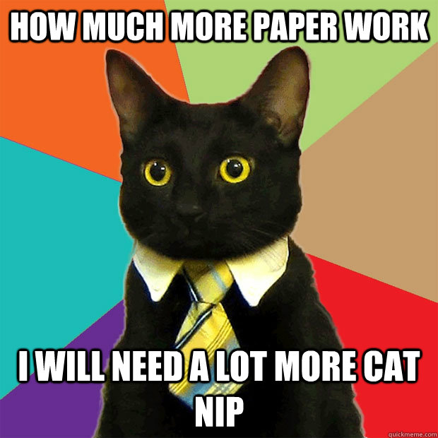 how much more paper work  I will need a lot more cat nip  Business Cat