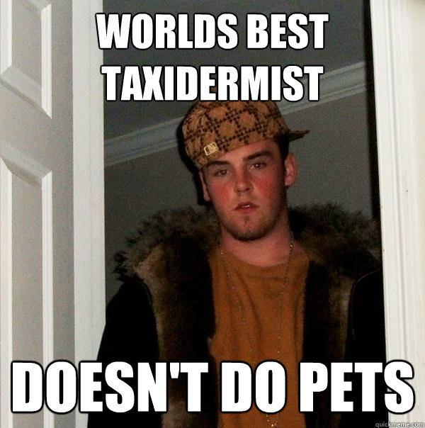 Worlds best Taxidermist Doesn't do pets - Worlds best Taxidermist Doesn't do pets  Scumbag Steve