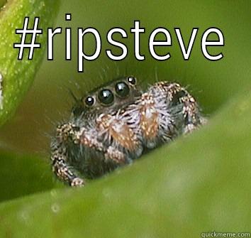 #RIPSTEVE  Misunderstood Spider