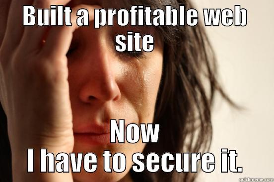 BUILT A PROFITABLE WEB SITE NOW I HAVE TO SECURE IT. First World Problems