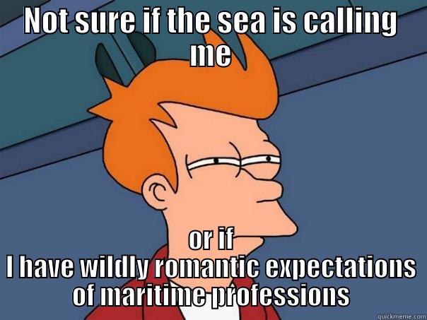 NOT SURE IF THE SEA IS CALLING ME OR IF I HAVE WILDLY ROMANTIC EXPECTATIONS OF MARITIME PROFESSIONS Futurama Fry