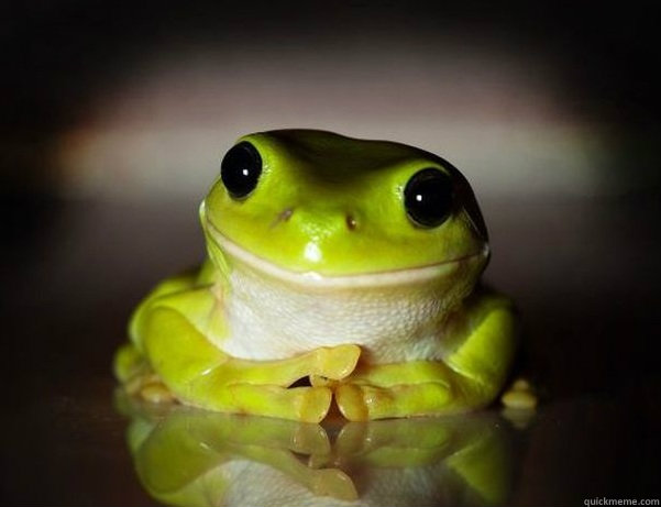   -    Fascinated Frog
