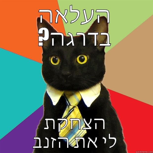 CAT boss - העלאה ?בדרגה הצחקת לי את הזנב Business Cat