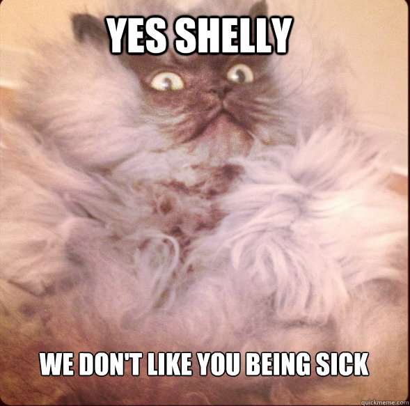 Yes Shelly We don't like you being sick  