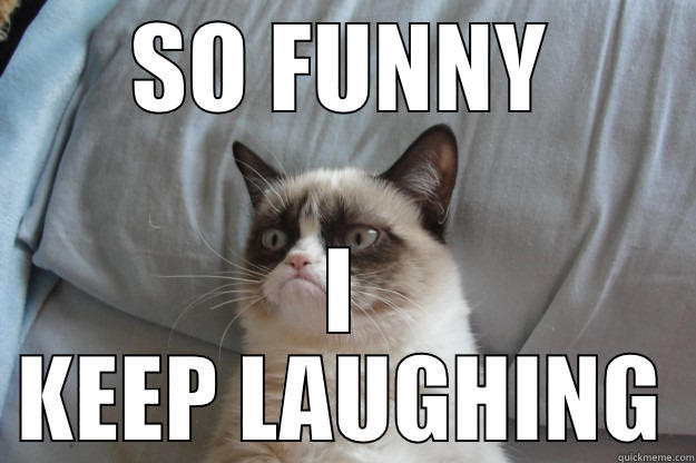 SO FUNNY I KEEP LAUGHING Grumpy Cat