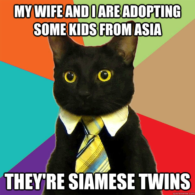 My wife and i are adopting some kids from Asia They're Siamese twins  Business Cat