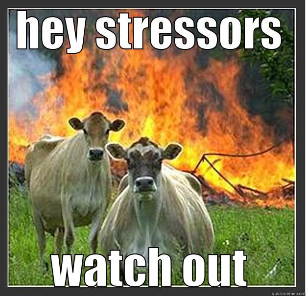 HEY STRESSORS WATCH OUT Evil cows