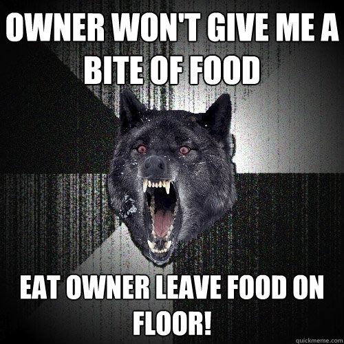 owner won't give me a bite of food eat owner leave food on floor!  Insanity Wolf