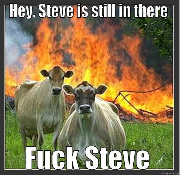 Evil cows - HEY, STEVE IS STILL IN THERE FUCK STEVE Evil cows