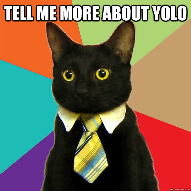 tell me more about yolo   Business Cat