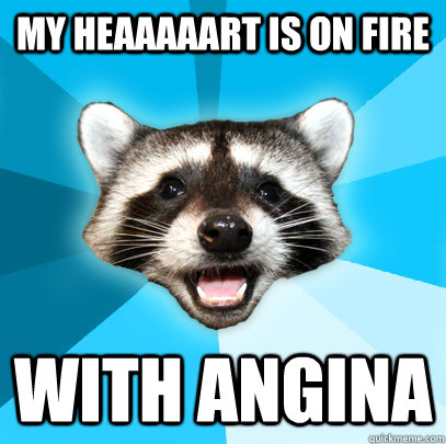 MY HEAAAAART IS ON FIRE WITH ANGINA - MY HEAAAAART IS ON FIRE WITH ANGINA  Lame Pun Coon