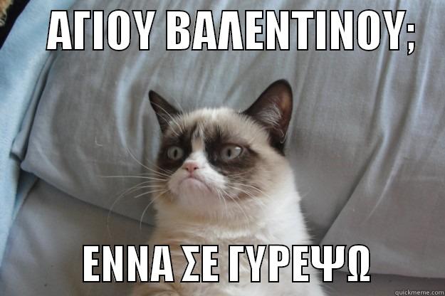 watta mofo watta -      AΓΙΟΥ ΒΑΛΕΝΤΙΝΟΥ;               ENNA ΣΕ ΓΥΡΕΨΩ         Grumpy Cat