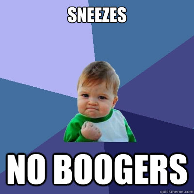 Sneezes No boogers  Success Kid