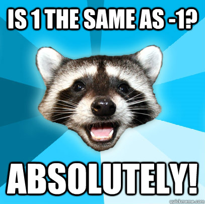 Is 1 the same as -1? Absolutely!  Lame Pun Coon