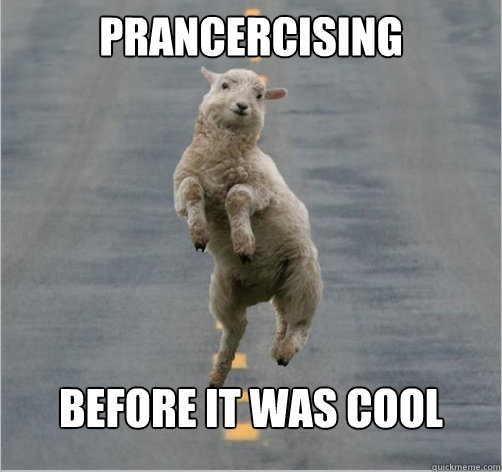 prancercising before it was cool   Dancing Sheep