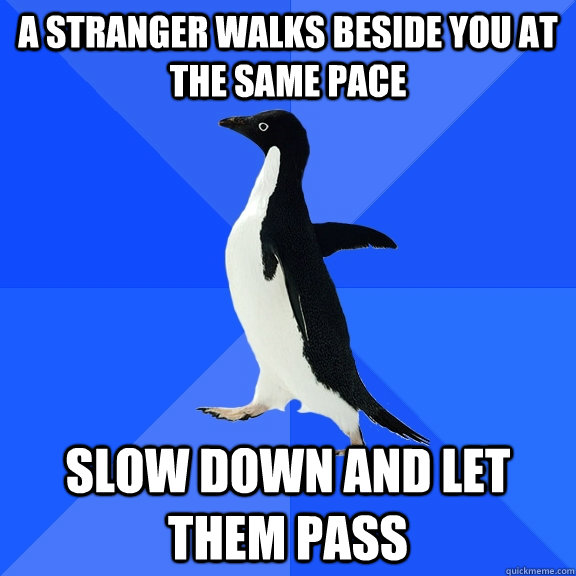 A stranger walks beside you at the same pace Slow down and let them pass  Socially Awkward Penguin