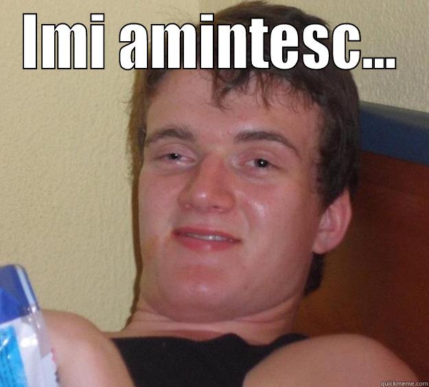 IMI AMINTESC...  10 Guy