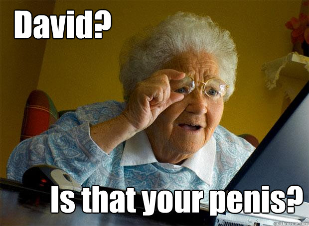 David? Is that your penis?  Grandma finds the Internet