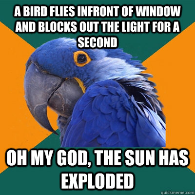 a bird flies infront of window and blocks out the light for a second Oh my god, the sun has exploded - a bird flies infront of window and blocks out the light for a second Oh my god, the sun has exploded  Paranoid Parrot