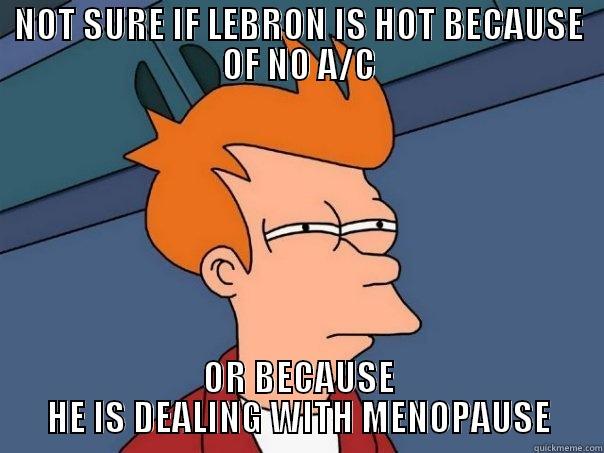 NOT SURE IF LEBRON IS HOT BECAUSE OF NO A/C OR BECAUSE HE IS DEALING WITH MENOPAUSE Futurama Fry