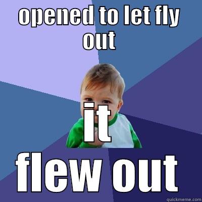 OPENED TO LET FLY OUT IT FLEW OUT Success Kid