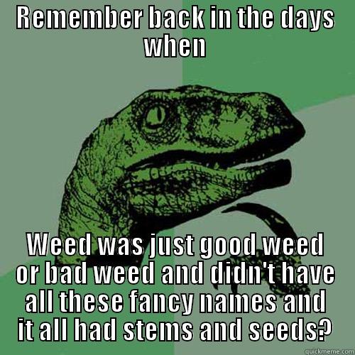 Back in the days - REMEMBER BACK IN THE DAYS WHEN WEED WAS JUST GOOD WEED OR BAD WEED AND DIDN'T HAVE ALL THESE FANCY NAMES AND IT ALL HAD STEMS AND SEEDS? Philosoraptor