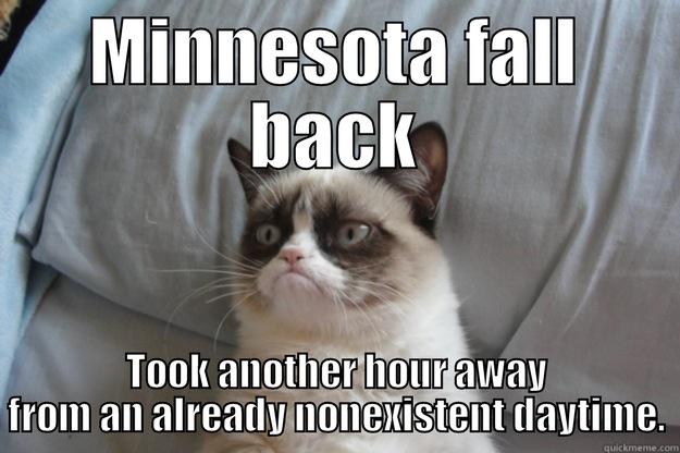 MINNESOTA FALL BACK TOOK ANOTHER HOUR AWAY FROM AN ALREADY NONEXISTENT DAYTIME. Grumpy Cat