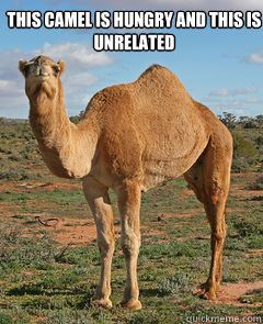 This Camel is hungry and this is unrelated  