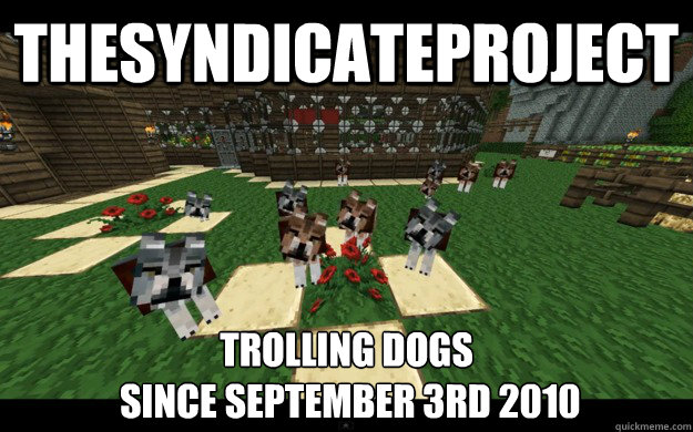 TheSyndicateProject Trolling dogs
 since September 3rd 2010 - TheSyndicateProject Trolling dogs
 since September 3rd 2010  Synditroll