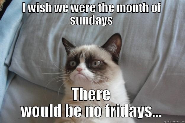 The month of sundays - I WISH WE WERE THE MONTH OF SUNDAYS THERE WOULD BE NO FRIDAYS… Grumpy Cat