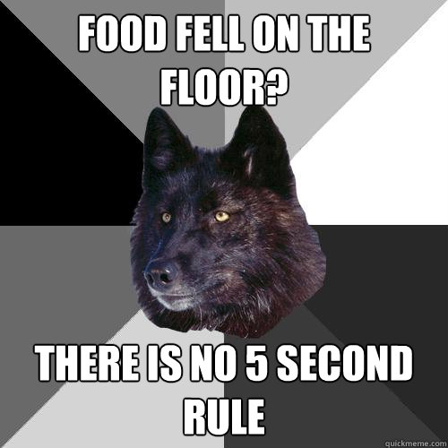 Food fell on the floor? There is no 5 second rule - Food fell on the floor? There is no 5 second rule  Sanity Wolf