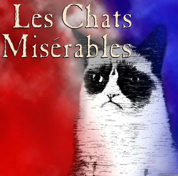 Untitled -   Grumpy Cat Les Miserables