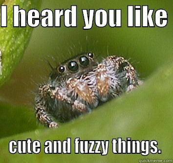 I HEARD YOU LIKE  CUTE AND FUZZY THINGS. Misunderstood Spider