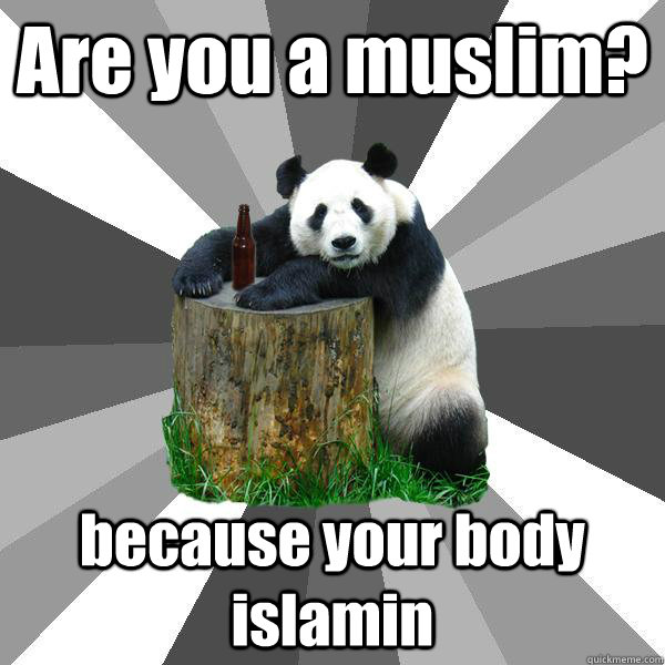 Are you a muslim? because your body islamin - Are you a muslim? because your body islamin  Pickup-Line Panda