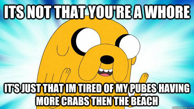 its not that you're a whore it's just that im tired of my pubes having more crabs then the beach  Jake The Dog