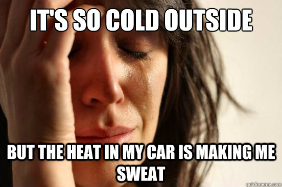 It's so cold outside but the heat in my car is making me sweat  First World Problems