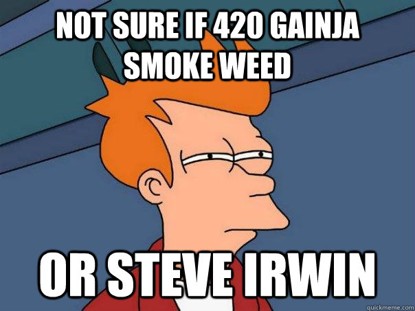 Not sure if 420 gainja smoke weed Or Steve Irwin - Not sure if 420 gainja smoke weed Or Steve Irwin  Futurama Fry