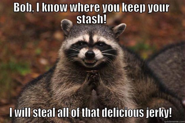 Evil? Na, I'm just a racoon! - BOB, I KNOW WHERE YOU KEEP YOUR STASH! I WILL STEAL ALL OF THAT DELICIOUS JERKY!  Evil Plotting Raccoon